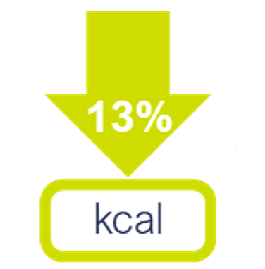 calorie icon