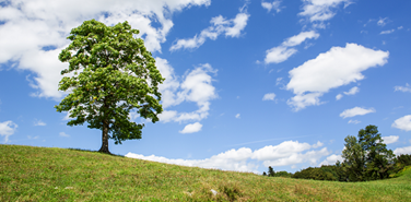 FDF Awards Environmental leadership 2021