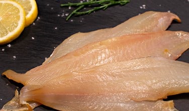 Sutherlands of Portsoy