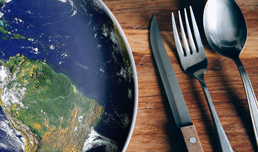 Sustainable healthy diets